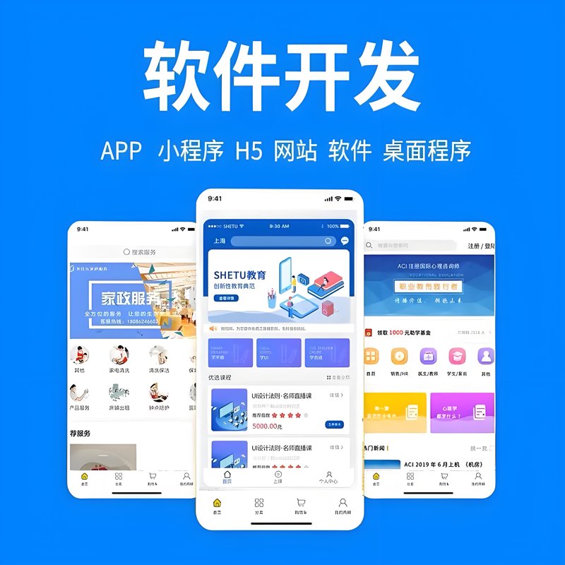 如何选择合适的软件定制开发服务